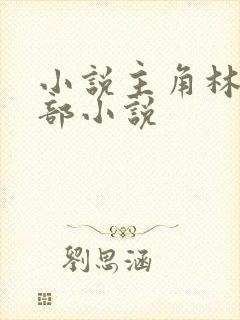 小说主角林凡全部小说