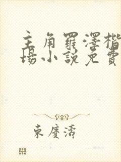 主角罗泽楷的官场小说免费阅读