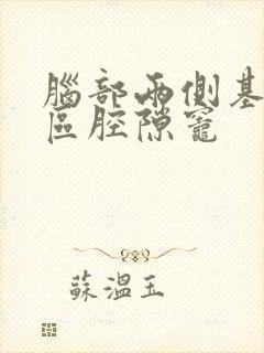 脑部两侧基底节区腔隙灶封面