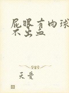 屁眼有肉球但是不出血