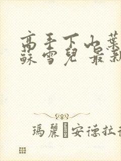 高手下山叶君临苏雪儿 最新章节