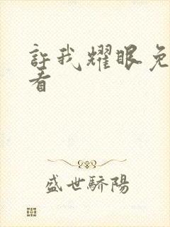 许我耀眼免费观看