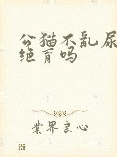 公猫不乱尿还用绝育吗封面