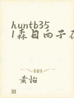 huntb351森日向子在线播放