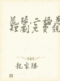 凤归,二婚为后短剧免费观看