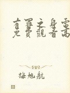 有罪之身电视剧免费观看高清在线封面