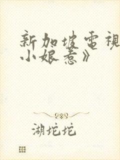 新加坡电视剧《小娘惹》封面