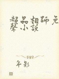 超品相师免费有声小说