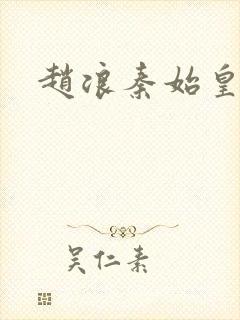 赵浪秦始皇小说封面