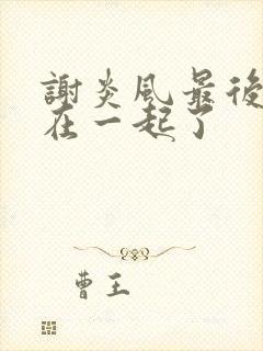 谢炎风最后和谁在一起了