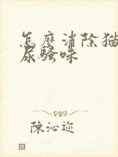 怎么消除猫咪的尿骚味