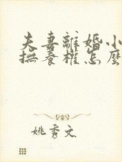 夫妻离婚小孩的抚养权怎么判