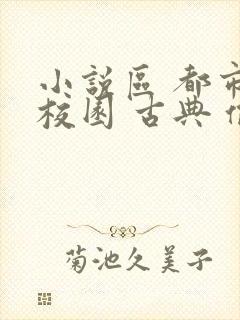 小说区 都市 校园 古典 偷拍封面