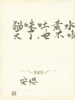 猫咪吐黄水都四天了,也不吃东西怎么办