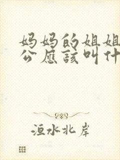 妈妈的姐姐的老公应该叫什么封面