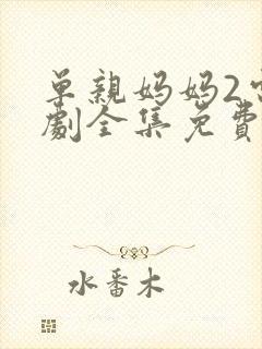 单亲妈妈2电视剧全集免费观看