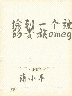 捡到一个被抹布的贵族omega