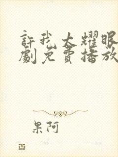 许我太耀眼电视剧免费播放