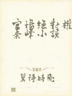 官场绝对权力之秦峰小说