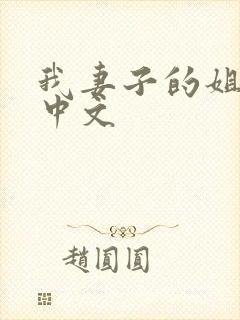 我妻子的姐姐2中文