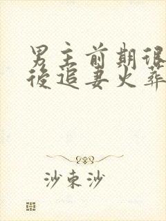 男主前期很花心后追妻火葬场