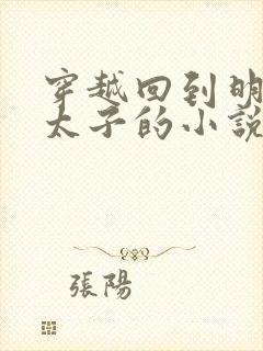 穿越回到明朝当太子的小说