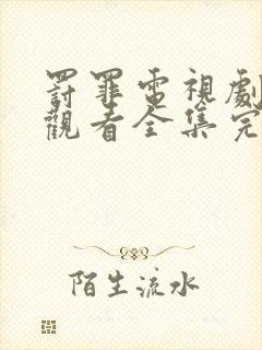 罚罪电视剧免费观看全集完整版国语