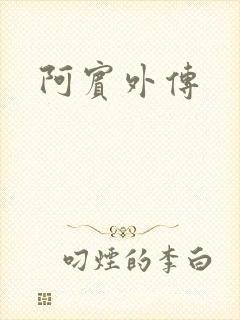 阿宾外传