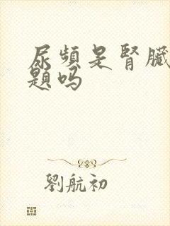 尿频是肾脏有问题吗封面