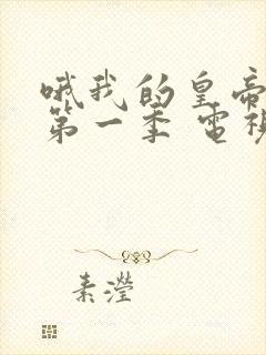 哦我的皇帝陛下第一季 电视剧免费观看