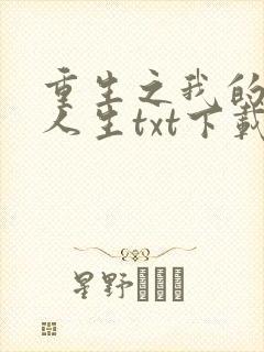 重生之我的书记人生txt下载