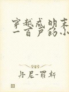 穿越成明末边军一百户的小说