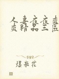 人妻夜夜爽天天爽精品三区