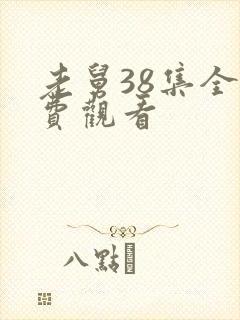 老舅38集全免费观看