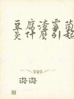 豆腐渣霉菌性阴炎什么引起的