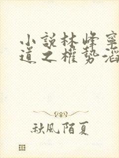 小说林峰宁欣官道之权势滔天