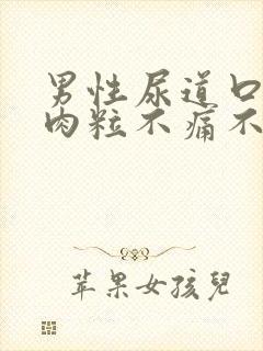 男性尿道口有小肉粒不痛不痒封面