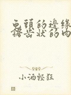 龟头的边缘有些锯齿状的肉粒