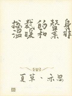 总裁的替身前妻温暖和叶非墨复合