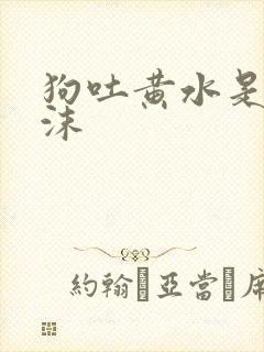 狗吐黄水是带泡沫