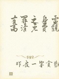 有罪之身电视剧高清免费观看