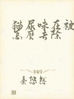 猫尿味在被子上怎么去除