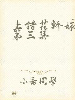 上错花轿嫁对郎第三集