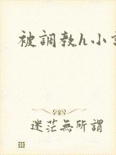 被调教h小说封面