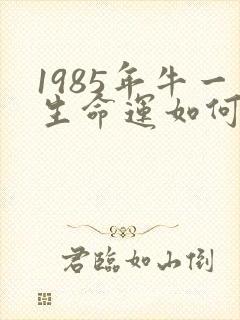 1985年牛一生命运如何