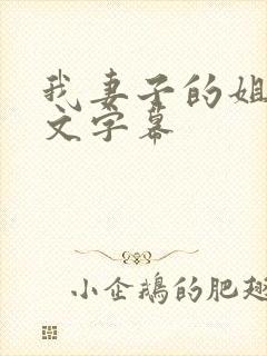 我妻子的姐姐中文字幕