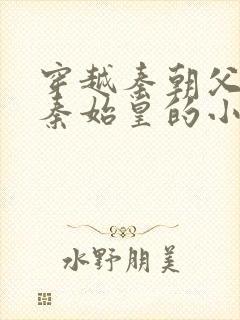 穿越秦朝父亲是秦始皇的小说