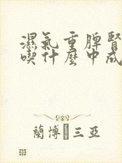 湿气重脾肾两虚吃什么中成药