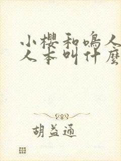 小樱和鸣人的同人本叫什么