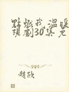 点燃我温暖你电视剧30集免费观看
